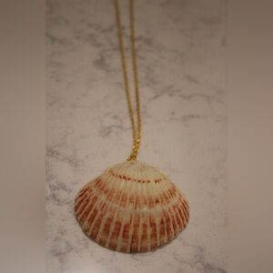 Real scallop shell on a gold chain